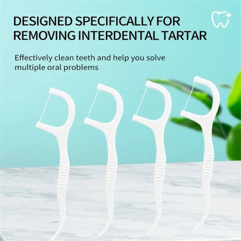 Portable Disposable Dental Floss Sticks (1/2/5/10 Box)