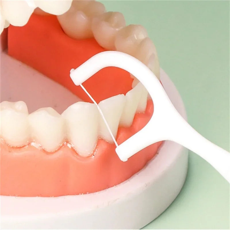 Portable Disposable Dental Floss Sticks (1/2/5/10 Box)