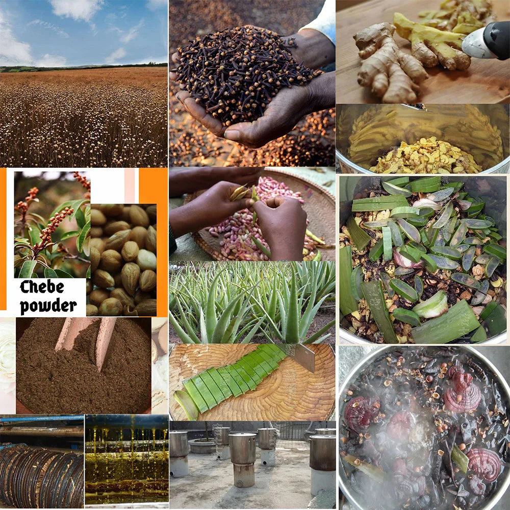 African Layden Hair Growth Oil – Ancient Formula to Strengthen, Lengthen & Restore Hair Naturally